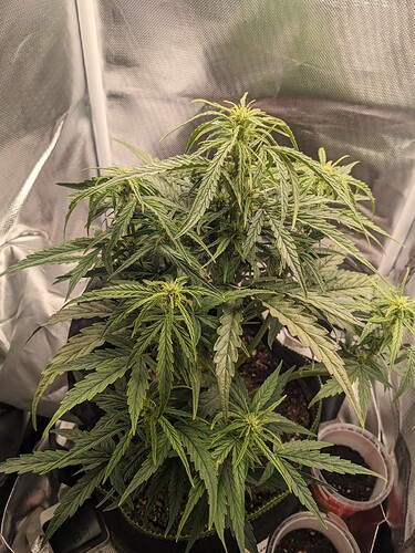 PXL_20240521_221403022