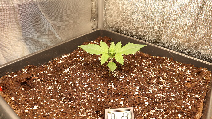 Growreport Bild 16