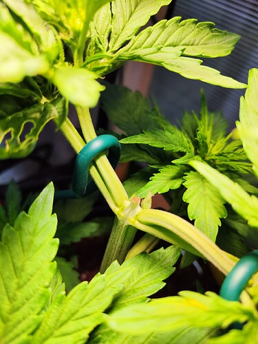 Growreport Bild 2