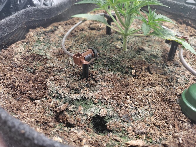 Growreport Bild 19
