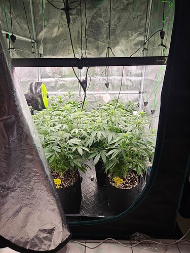 Growreport Bild 1