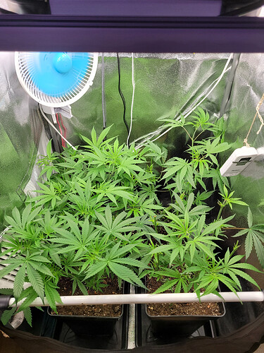Growreport Bild 9