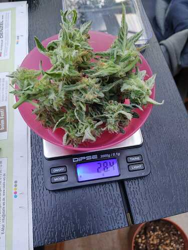 IMG-20240521-WA0004