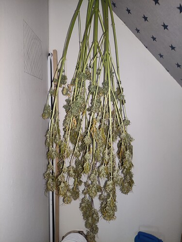 Growreport Bild 16