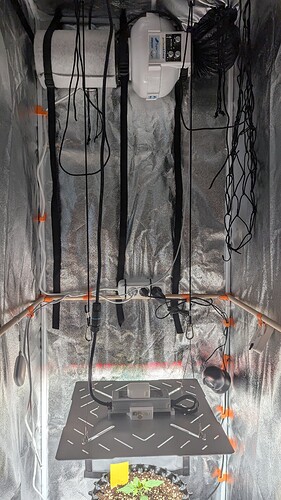 PXL_20240708_095302096.MP