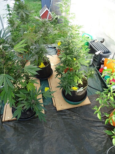 Growreport Bild 24