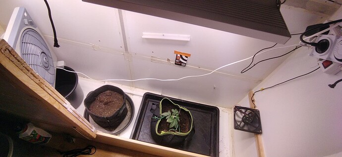 Growreport Bild 18