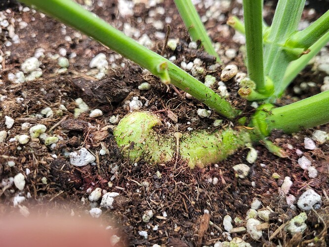 Growreport Bild 15