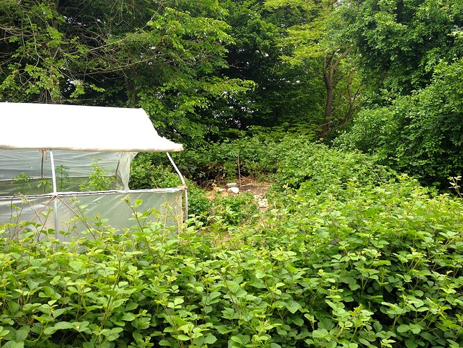 Growreport Bild 4