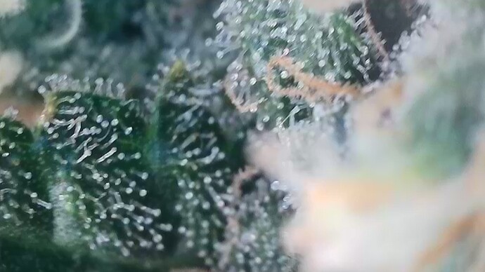 2024-10-03-205603030