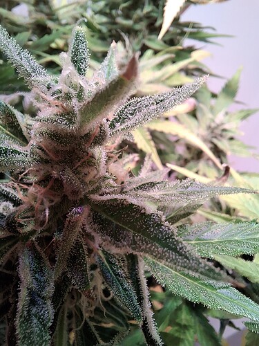 Growreport Bild 18