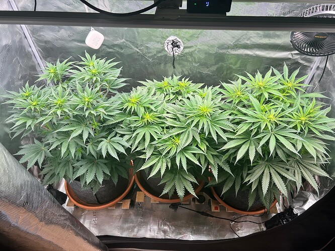 Growreport Bild 10