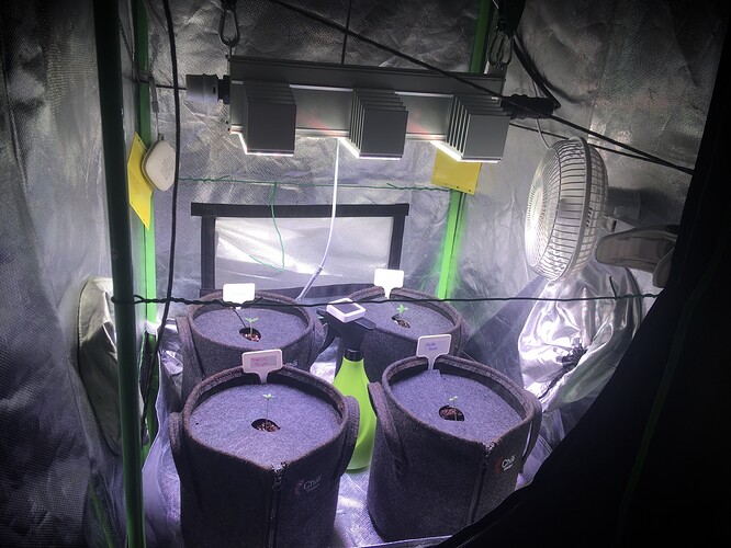 Growreport Bild 5