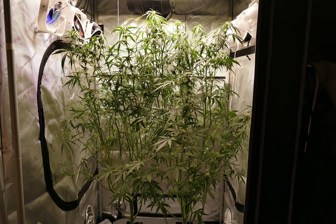 Growreport Bild 12