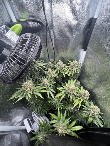 Growreport Bild 26