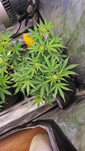 Growreport Bild 16