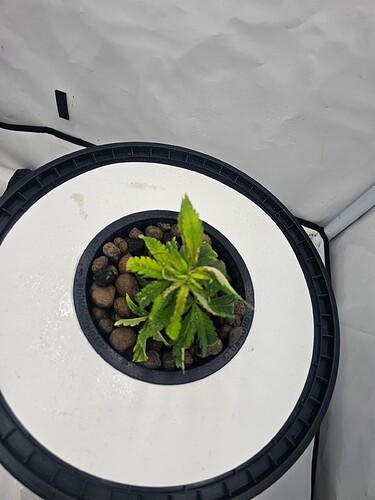 Growreport Bild 26