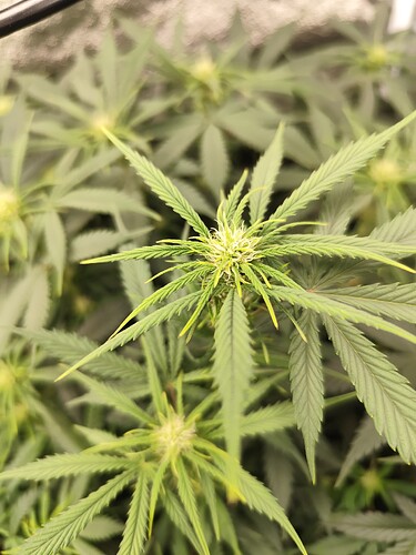 Growreport Bild 9