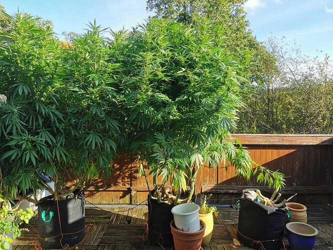 Growreport Bild 13