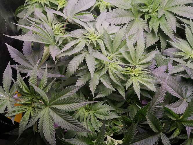 WhatsApp Bild 2024-04-26 um 12.53.05_fabf1b2c