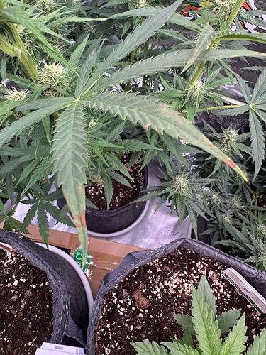 Growreport Bild 11