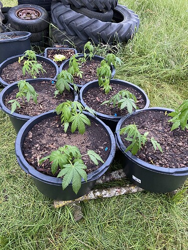 Growreport Bild 23