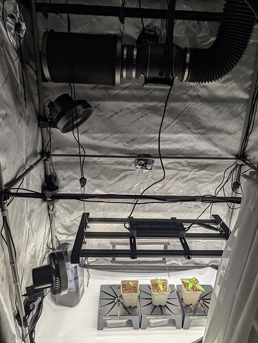 Growreport Bild 6
