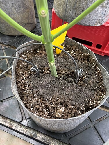 Growreport Bild 16