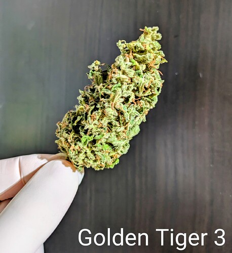Growreport Bild 11