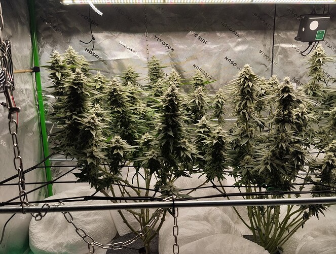 Growreport Bild 2
