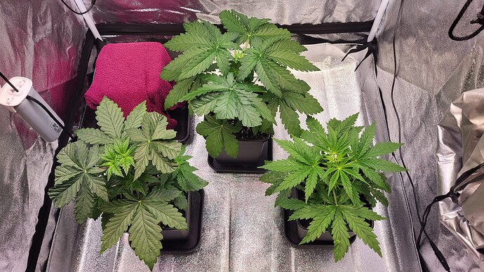 Growreport Bild 18