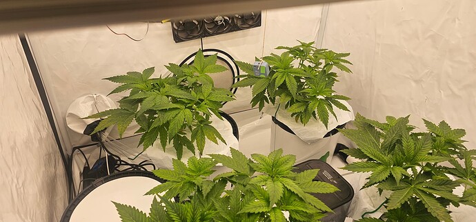 Growreport Bild 8