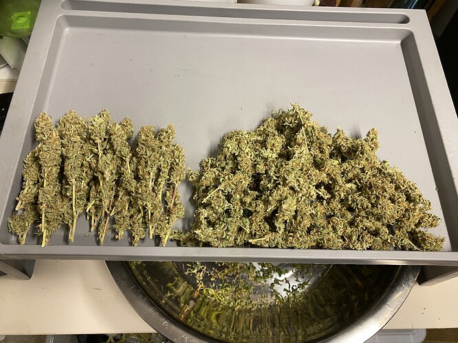 Growreport Bild 25