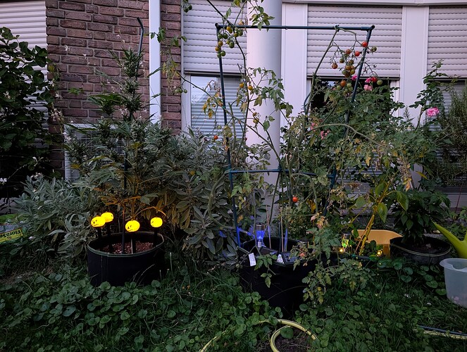 Growreport Bild 12