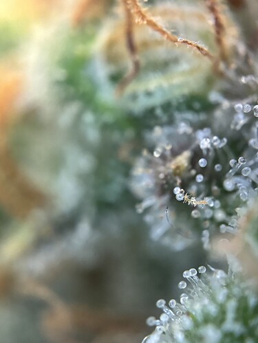 Growreport Bild 15