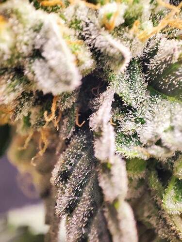 Growreport Bild 25