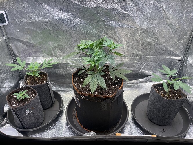 Growreport Bild 11