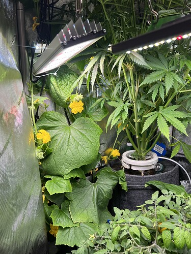 Growreport Bild 10