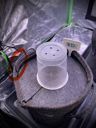 Growreport Bild 10