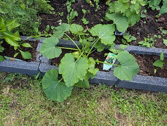 PXL_20250530_102915636