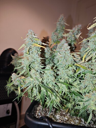 MVIMG_20251204_200225