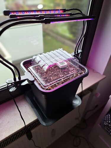 Growreport Bild 10