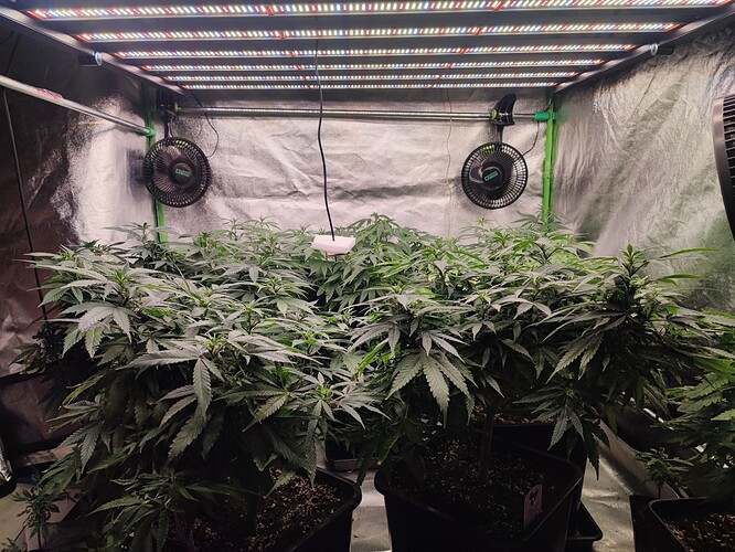 Growreport Bild 9