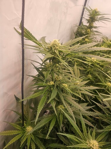Growreport Bild 10