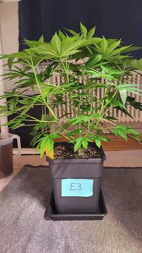 Growreport Bild 23