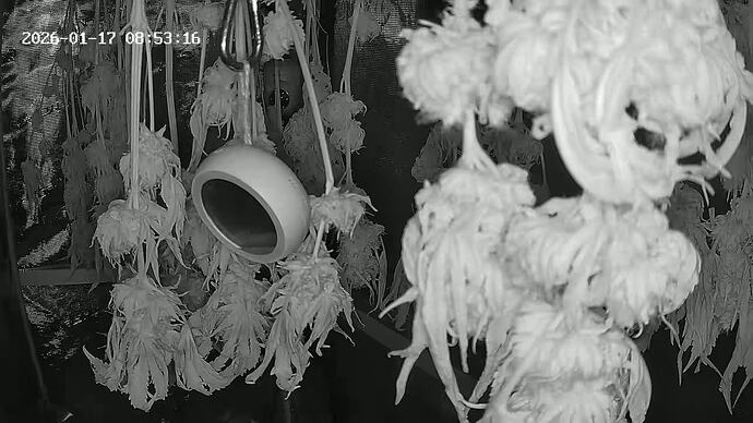 Growreport Bild 4