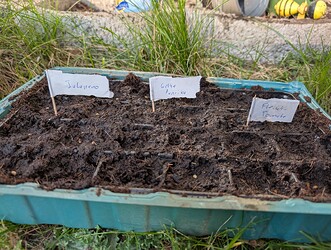 PXL_20250327_155938627