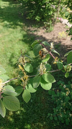 Growreport Bild 49