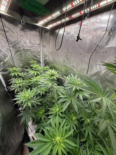 Growreport Bild 9