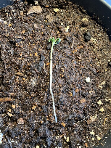 Growreport Bild 2